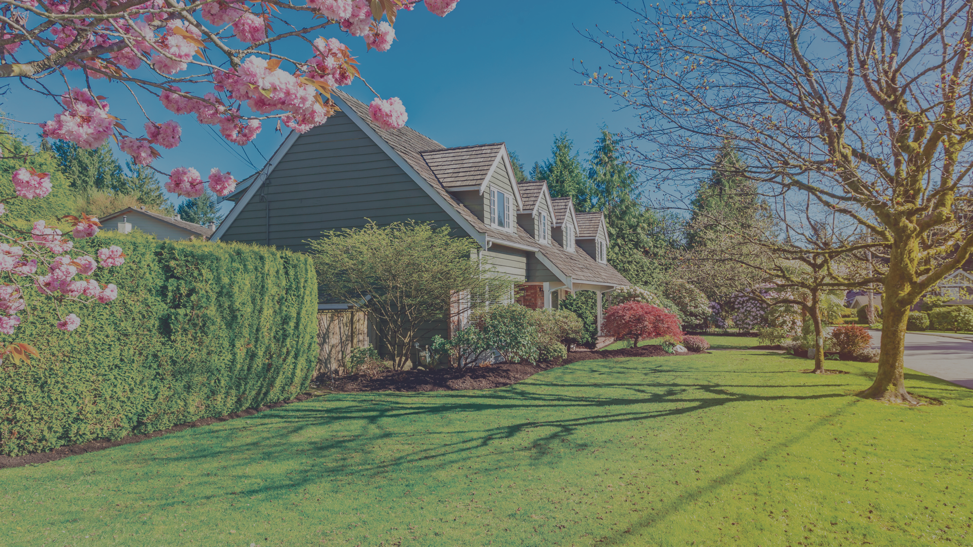 suburban housing in spring