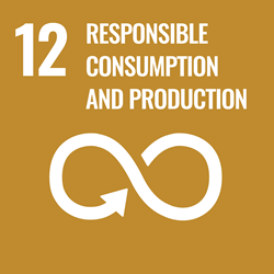 responsible consumption